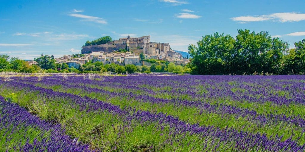 4 Days in Provence