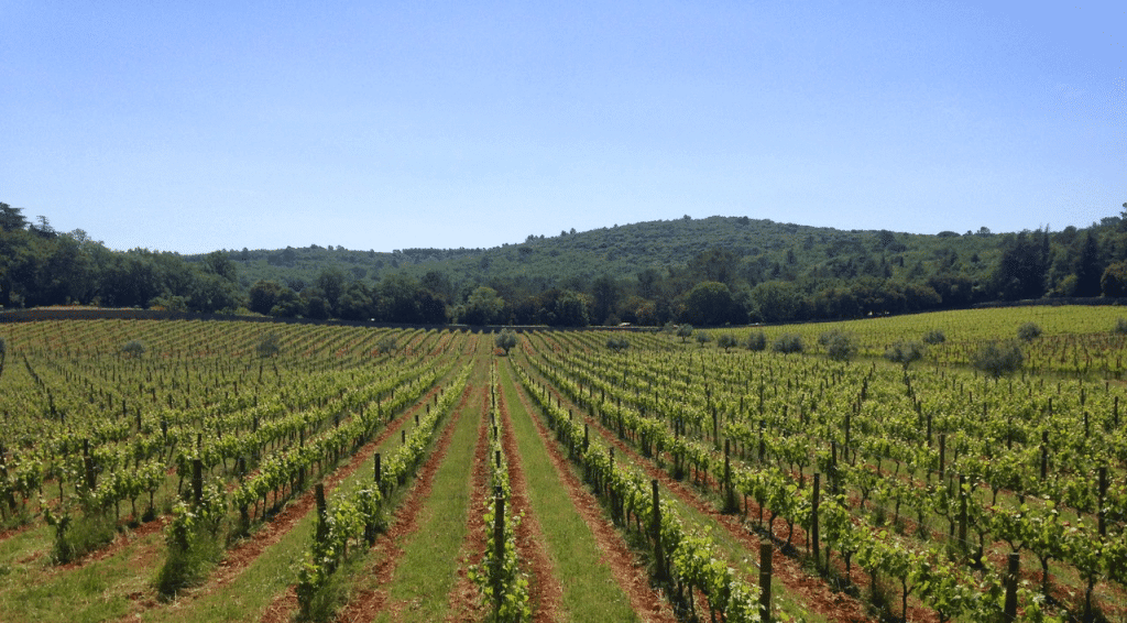 Provence off the beaten path