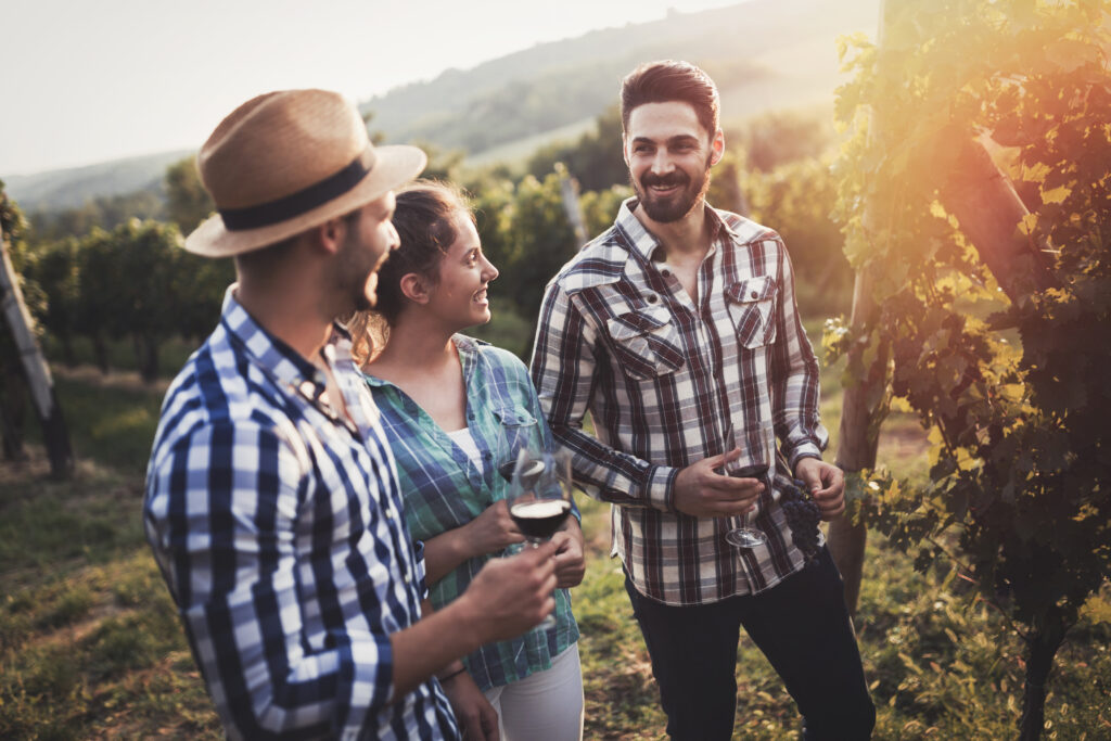 Wine tour in Côteaux Varois