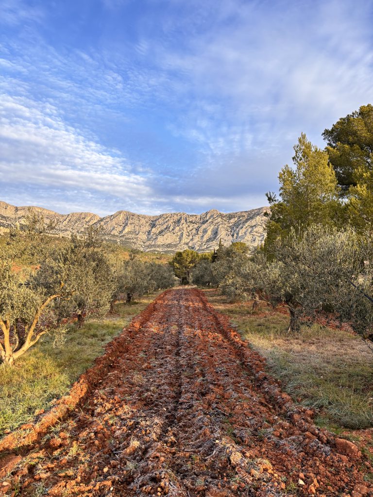 Wine tour in Bellet – Nice